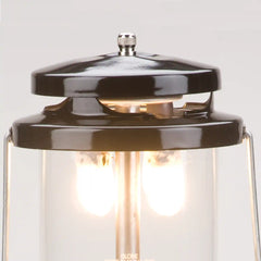 Deluxe Propane Lantern with Case