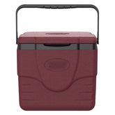 Chiller™ 9-Quart Portable Cooler