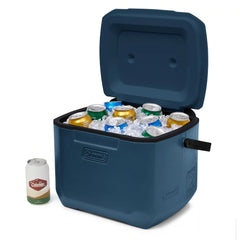 Chiller™ 16-Quart Portable Cooler
