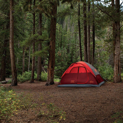 4-Person Flatwoods II™ Lightweight Dome Camping Tent