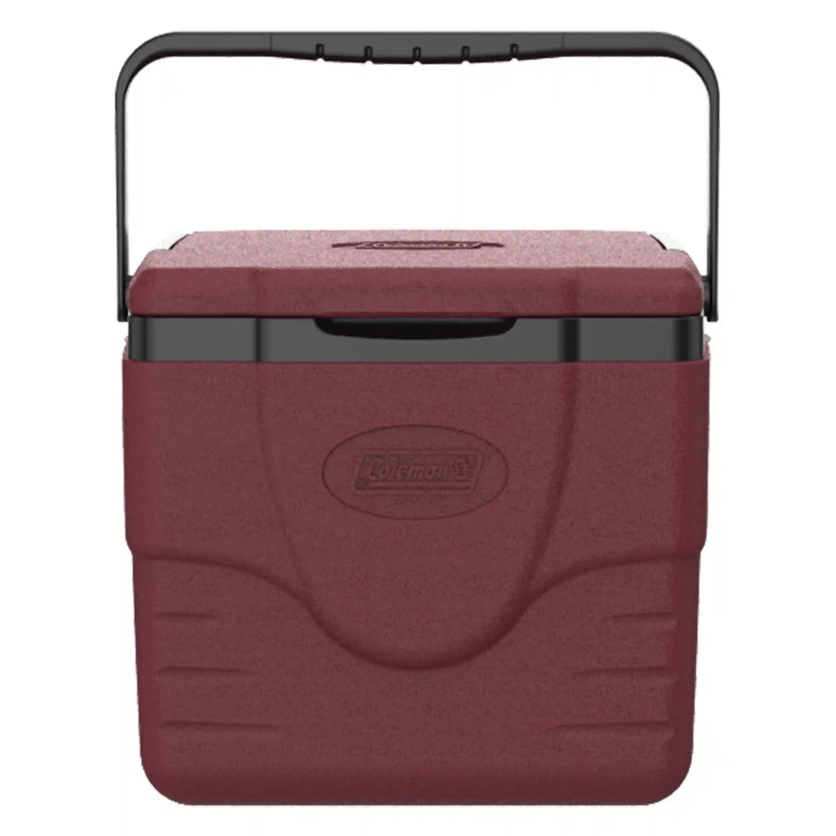 Chiller™ 9-Quart Portable Cooler